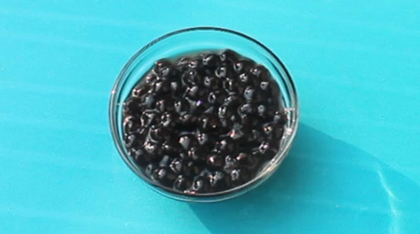bubbletea-blogpost