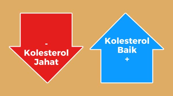 kolesterol