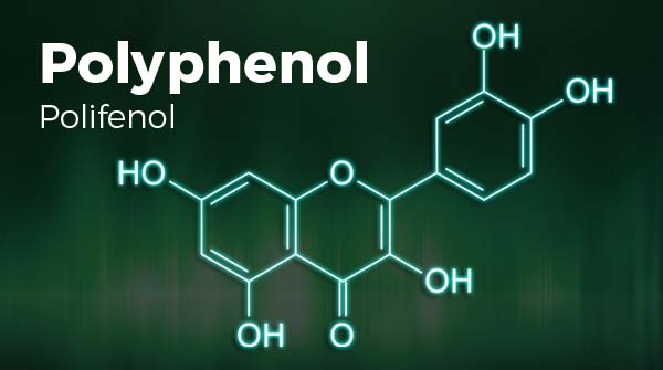 polyphenol